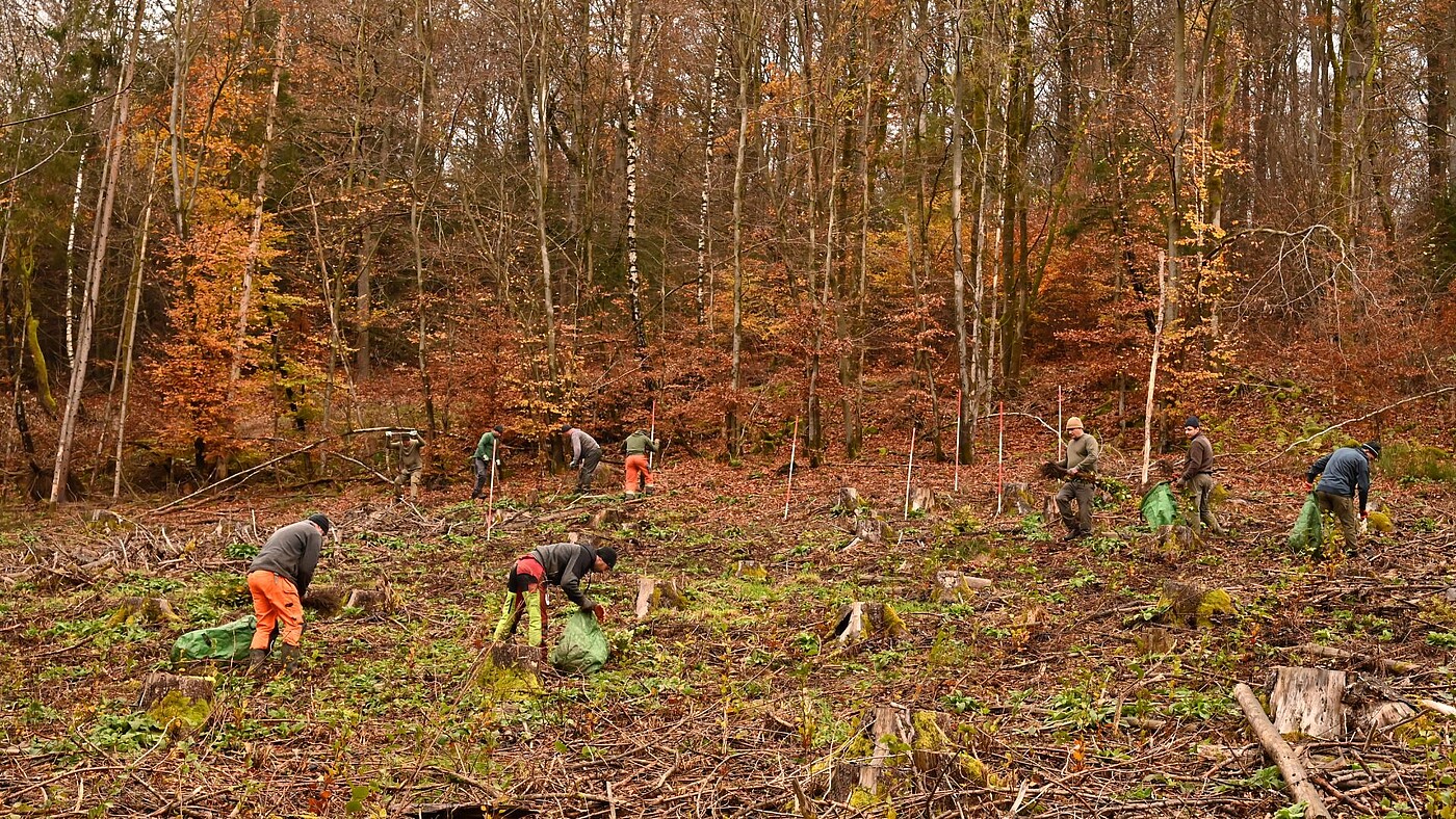 Maßnahmen Fortschritt